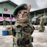 Choppedhuzz's profile picture