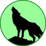 💚さやか⛩️🌙 profil fotoğrafı
