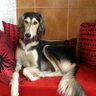 Cuwan profil fotoğrafı