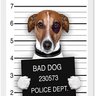 Profilbild von The_Wee_Dogggie