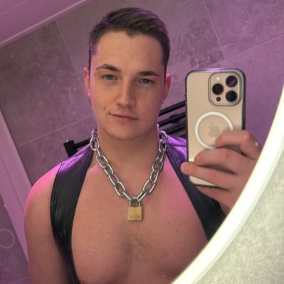 SylvenV's profile picture