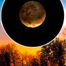 Nightmare profil fotoğrafı