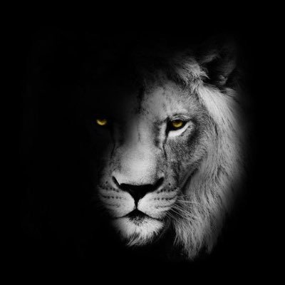 _gladijator_'s profile picture