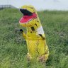 ちゃんちゃん@11/16神戸マラソン抽選待ち's profile picture