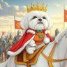 Big Dawg Investor 的头像