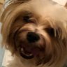 AJ #MAGA✝️🙏🏻🇺🇸's profile picture