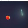 steve's profile picture