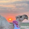 مداح profil fotoğrafı