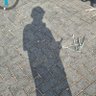 Profilbild von Ali Yusup