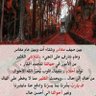 رهف المصري 的头像