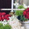 ملكه's profile picture