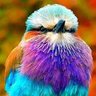 Profilbild von ユウキ