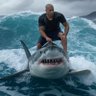Richard Rawson's profile picture