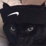 Profilbild von Unbiased Cat