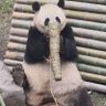 白象食品股份有限公司（baixiangfood）'s profile picture