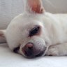 Profilbild von おみく