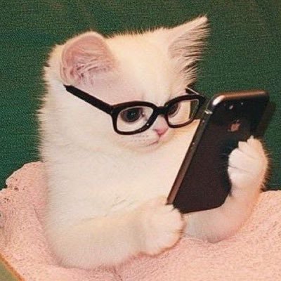 원앤애옹's profile picture