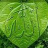 Фото профиля إبن السيد