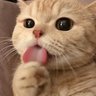 暴打世界每一天's profile picture