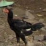 Le Bolide's profile picture