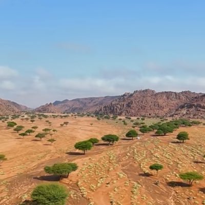 همايّل السّحاب 🌧️'s profile picture