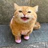 Profilbild von ๐ท๐ท