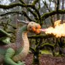 Potato Dragon's profile picture