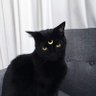 Nane's profile picture