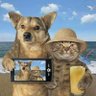 0'o's profile picture