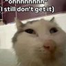 Notacatfishiswesr's profile picture