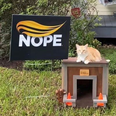 AssCat's profile picture