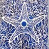 Фото профиля Sambuca Ray