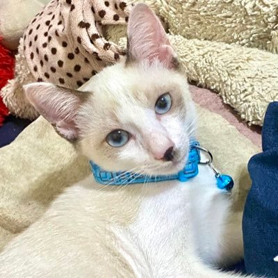 🐻 มัมหมีน้องนินิ🐻's profile picture