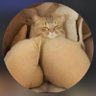 Profilbild von mirh