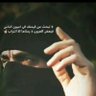 شعر بدوي 的头像