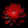 Фото профиля bharat9