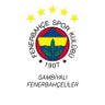 Gambiya Fenerbahçeliler Derneği 的头像