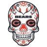 Mike Ditkas Bad Hip profil fotoğrafı