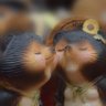 ヤマグチ マサミ profil fotoğrafı