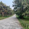 chaucy 的头像