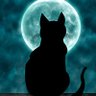 Фото профиля Moon Kat