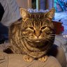Profilbild von juggfet39