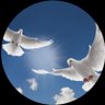 Profilbild von منى الرميح