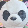 Profilbild von 三十路肩のニコル