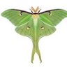 Krisby's profile picture