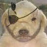 Profilbild von jotchua