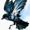 Profilbild von reo_x_42069