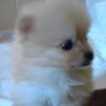 ばね's profile picture