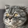 WithTechmobile's profile picture