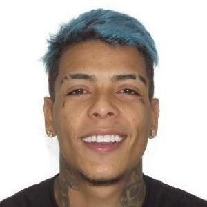 Vicente's profile picture
